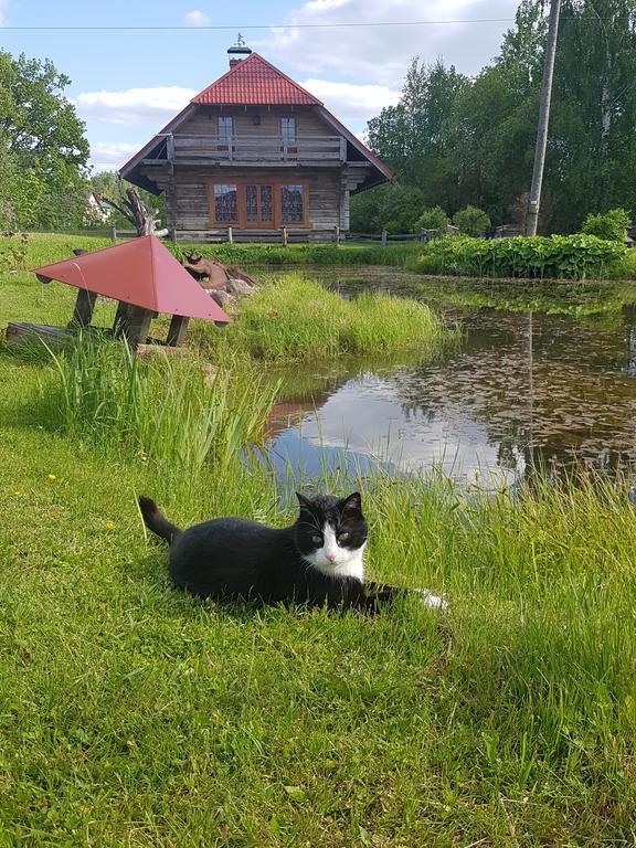 Bellas Namins Cesis Exterior photo