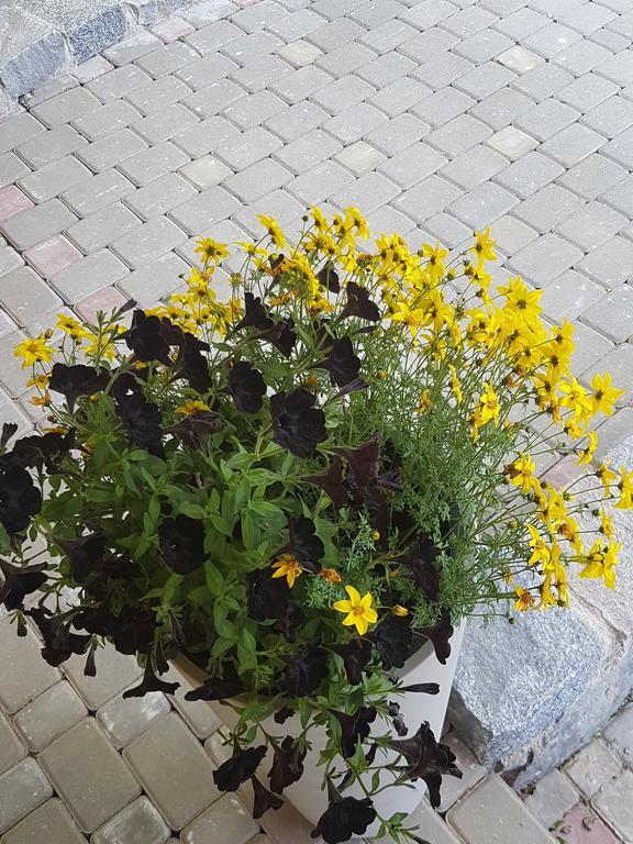Bellas Namins Cesis Exterior photo